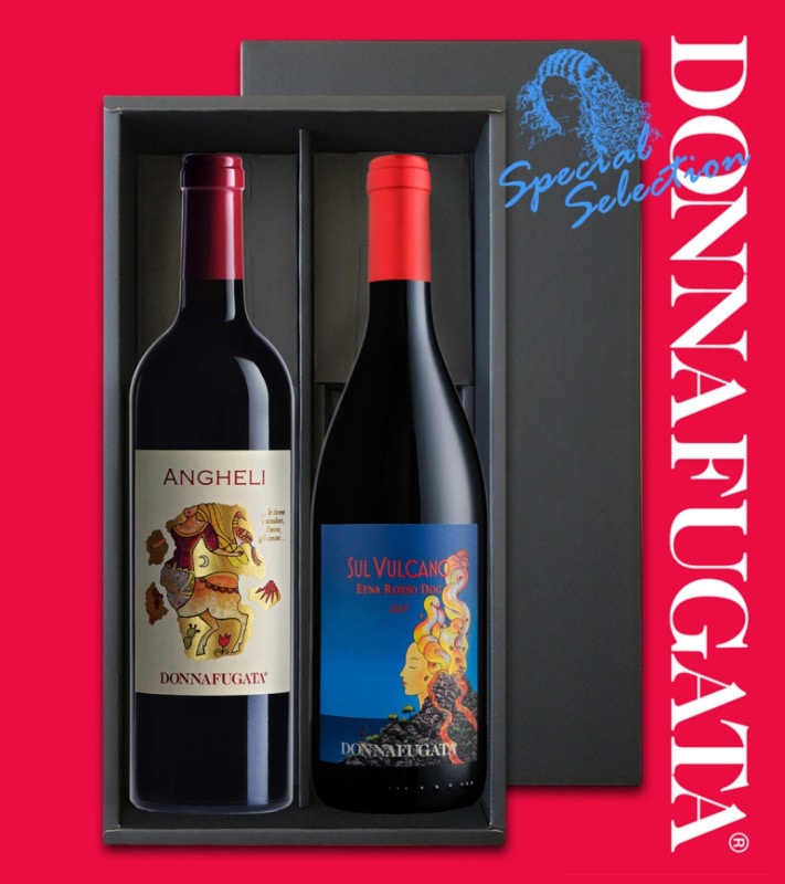 ������̵���ۥɥ�ʥե����� �ե�ܥǥ��֥磻���ܥ��եȡ�- �����ꥢ�磻��