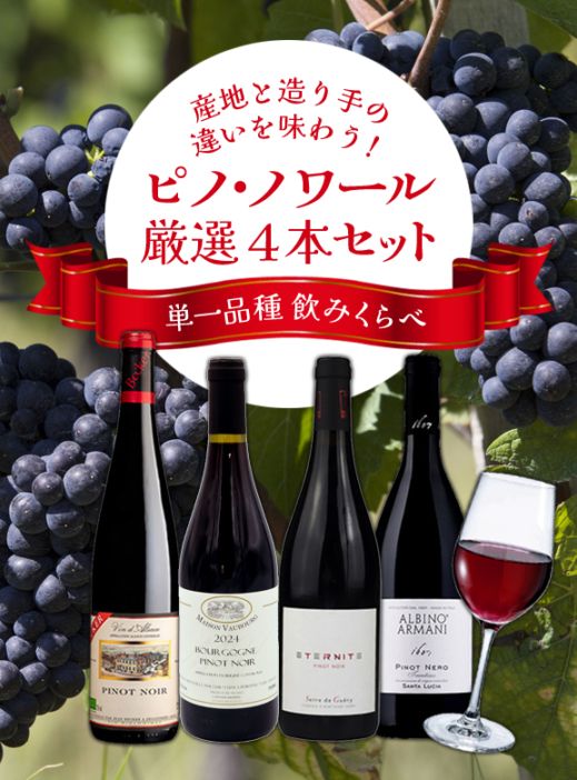 ピノノワール２本セット ピノ・ノワール3本セット 赤ワインセット【第30弾】「4/3更新