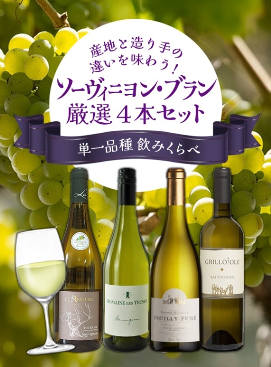 送料無料】ソーヴィニヨン・ブラン厳選4本セット | お得なワイン