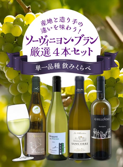 送料無料】ソーヴィニヨン・ブラン厳選4本セット | お得なワイン