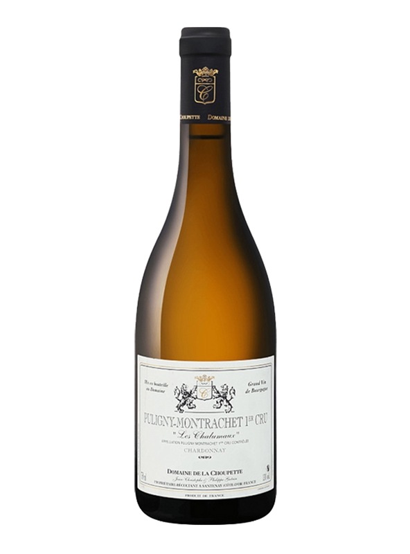 �ԥ��ˡ�������å��� �ץ�ߥ�������� �졦�����⡼2023��- �ե�󥹥磻��