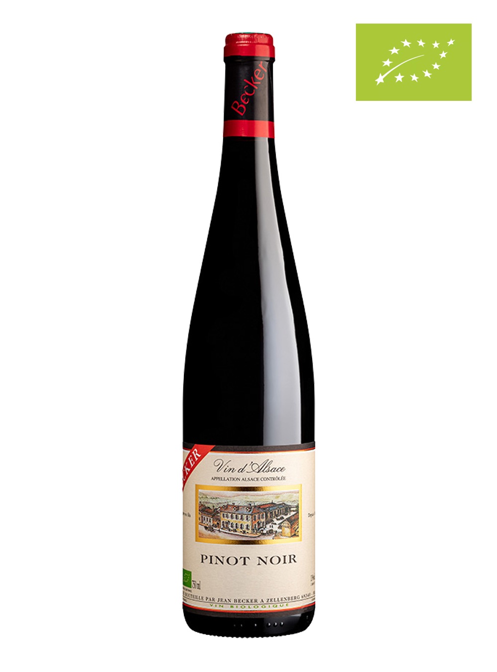 ̵ۥԥΡΥ븷ܥå