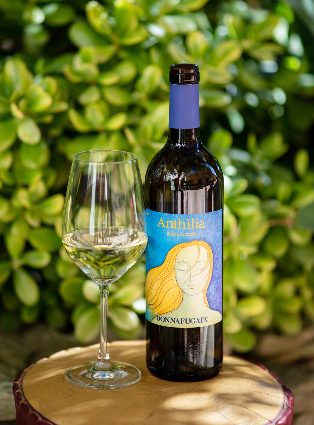 ���󥷥ꥢ��- �����ꥢ�磻��