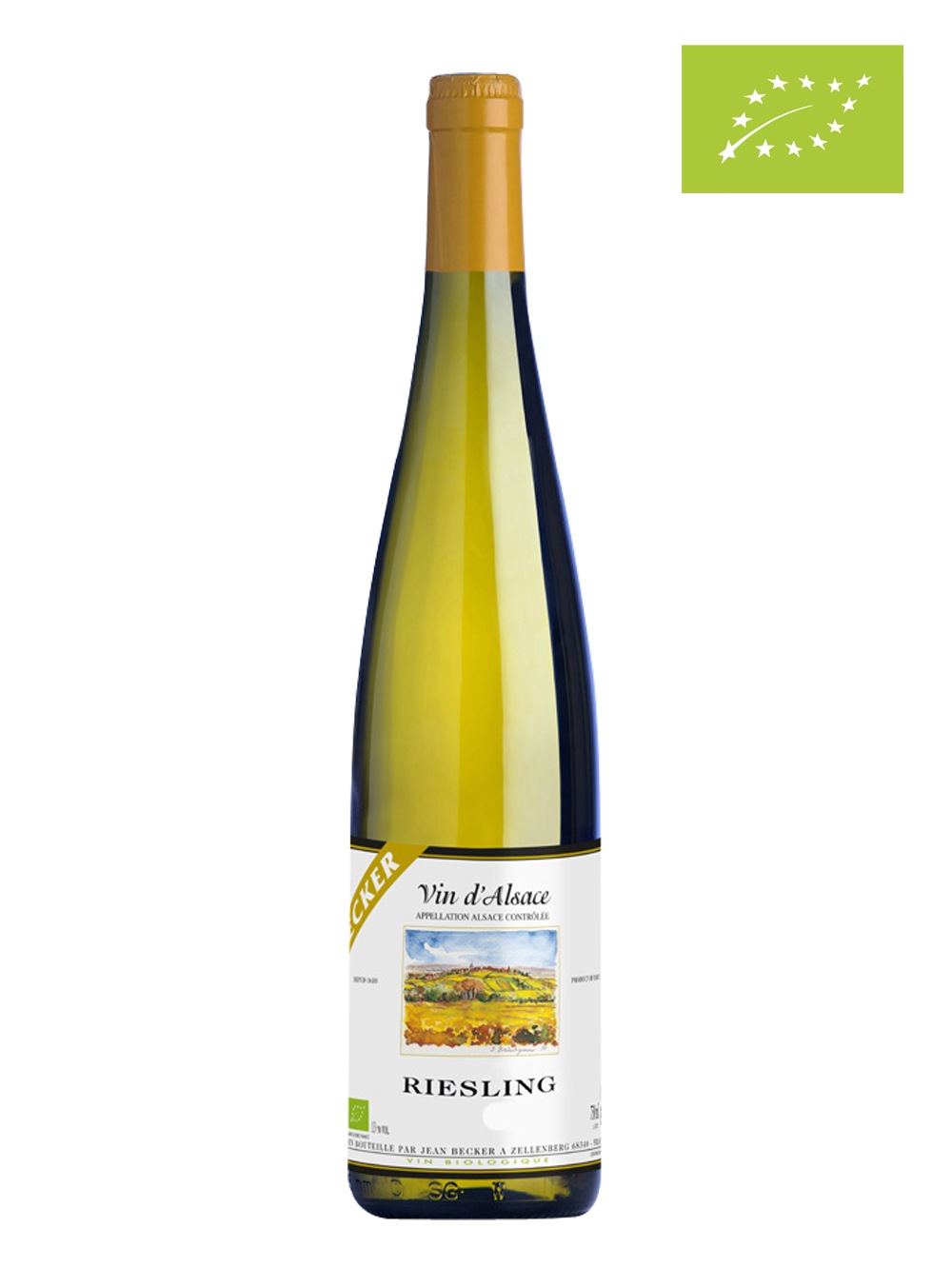 ̵ۥ󡦥٥åɥ磻3ܥåȡ- ե󥹥磻