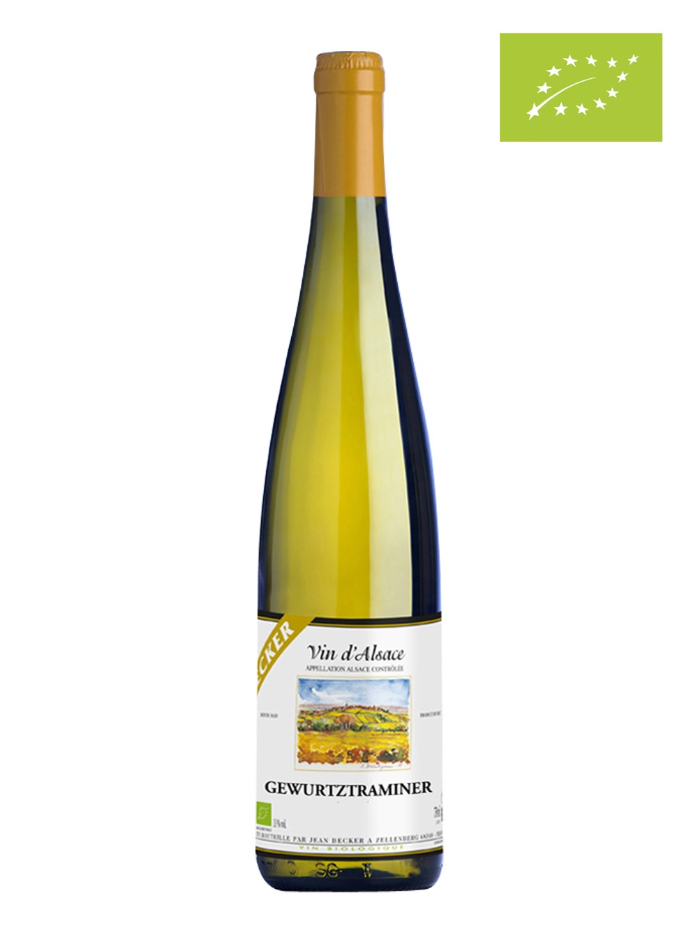 ̵ۥ󡦥٥åɥ磻3ܥåȡ- ե󥹥磻