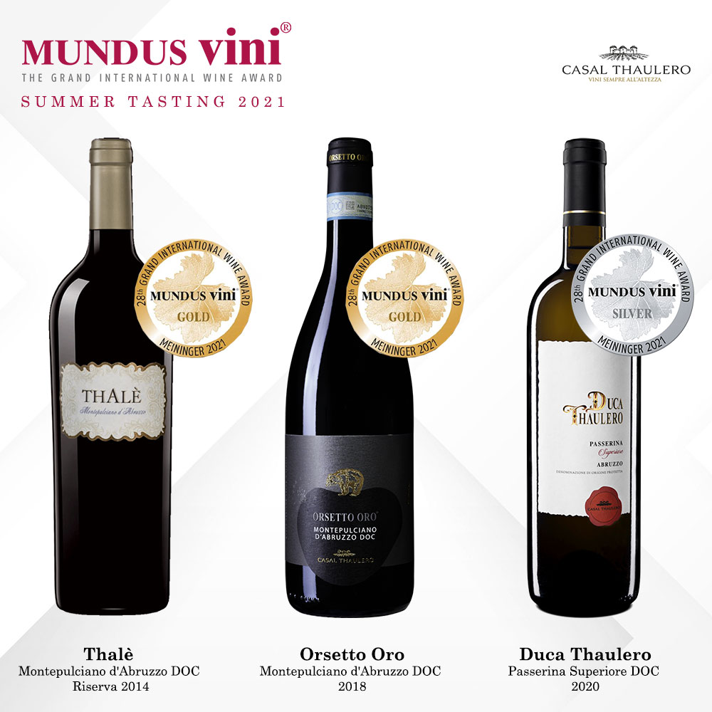 ���졦���ƥץ���㡼�Ρ����֥�åĥ���- �����ꥢ�磻��