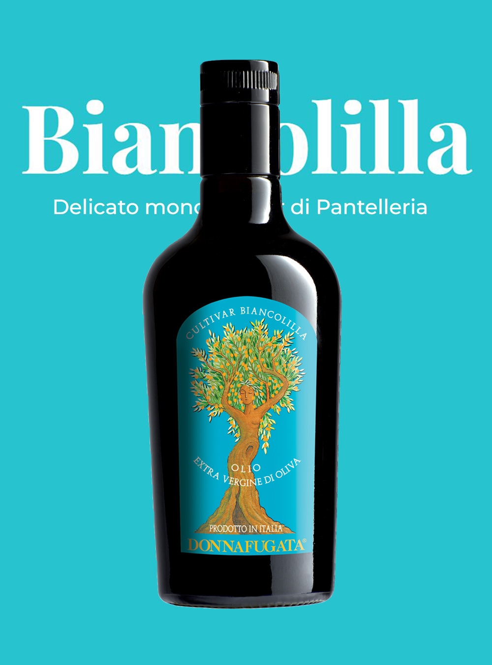 再入荷2026年春頃予定】【専用箱入り】ビアンコリーラ エクストラ