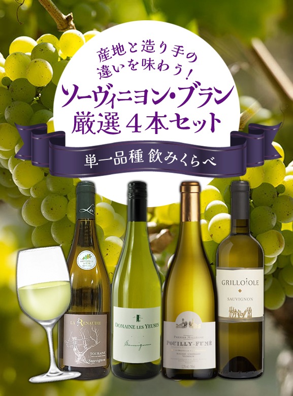 �ں�����12�����ͽ��ۡ�����̵���ۥ��������˥�󡦥֥�������ܥ��å�