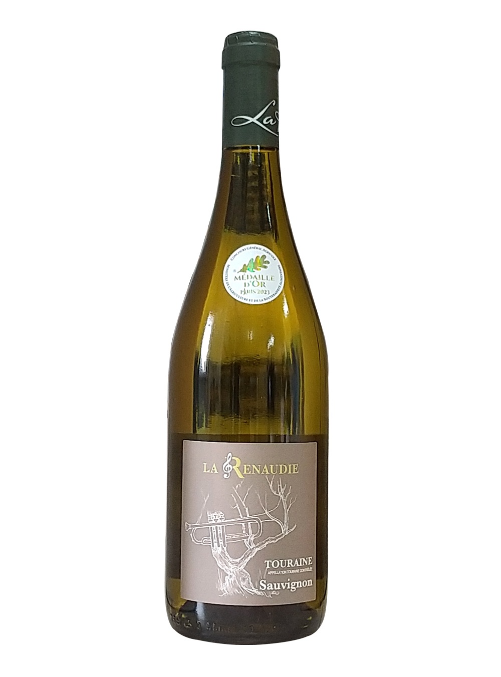 �ں�����12�����ͽ��ۡ�����̵���ۥ��������˥�󡦥֥�������ܥ��å�