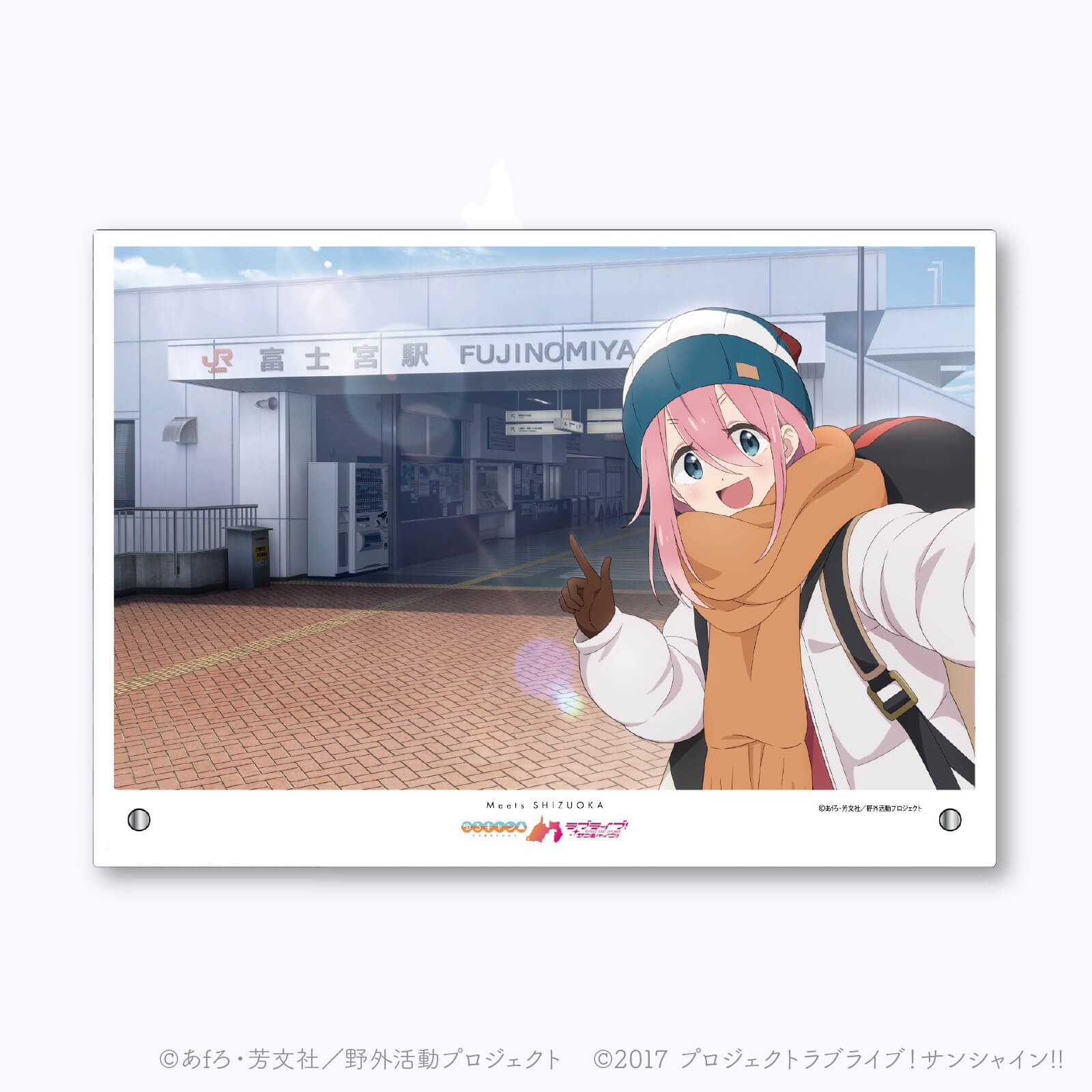 Meets SHIZUOKA  アクリルアートパネル（なでしこ Ver.）