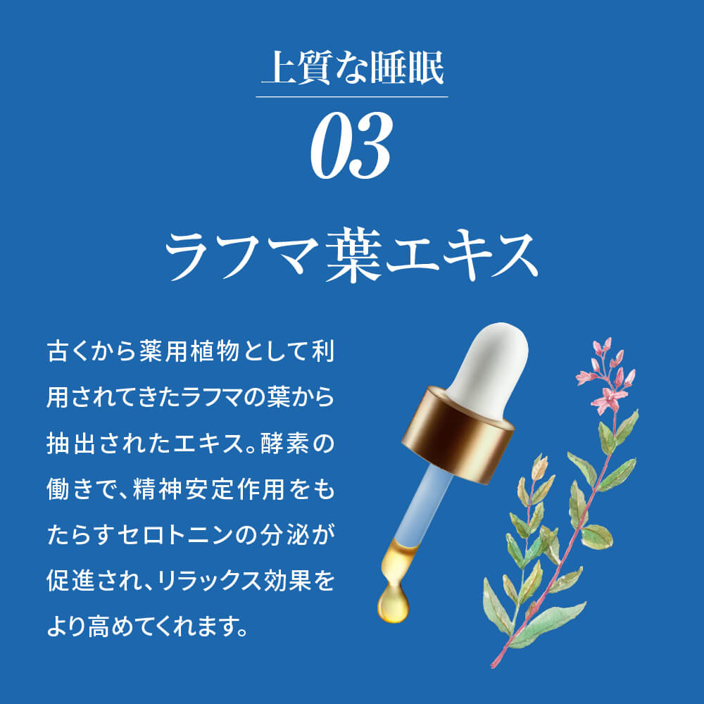 マックスビューティープロ MAX BEAUTY PRO コンブティクス酵素ゼリー GABA &ラフマ 20g×15個入