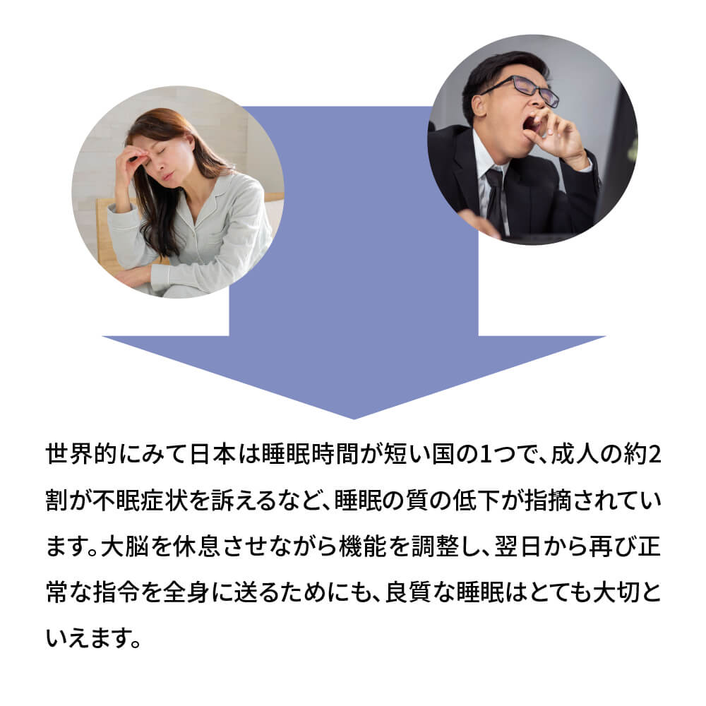 マックスビューティープロ MAX BEAUTY PRO コンブティクス酵素ゼリー GABA &ラフマ 20g×15個入