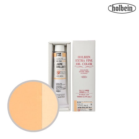 HH234　油絵具２０号チューブ　ジョーンブリアンＮｏ．２　110ml　★★★　半透明(不透明寄り)
