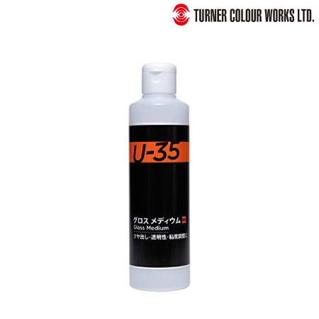 960　グロスメディウム　　250ml　　