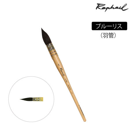 803　丸筆　リス　羽管　丸・羽管　3/0号　ブルーリス　丸・羽管