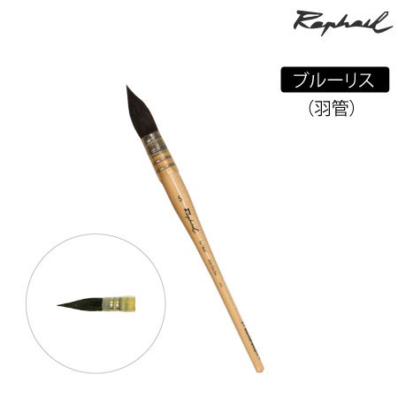 803　丸筆　リス　羽管　丸・羽管　2/0号　ブルーリス　丸・羽管