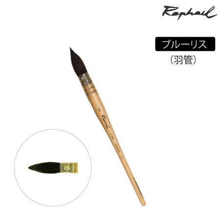 803　丸筆　リス　羽管　丸・羽管　1号　ブルーリス　丸・羽管