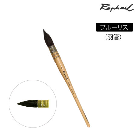 803　丸筆　リス　羽管　丸・羽管　2号　ブルーリス　丸・羽管