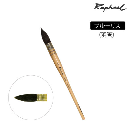 803　丸筆　リス　羽管　丸・羽管　3号　ブルーリス　丸・羽管