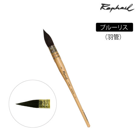 803　丸筆　リス　羽管　丸・羽管　7号　ブルーリス　丸・羽管