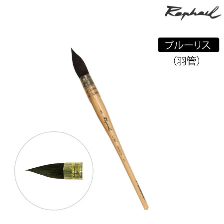 803　丸筆　リス　羽管　丸・羽管　8号　ブルーリス　丸・羽管