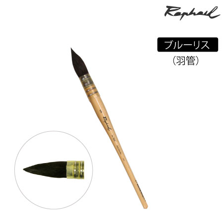 803　丸筆　リス　羽管　丸・羽管　9号　ブルーリス　丸・羽管