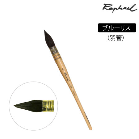 803　丸筆　リス　羽管　丸・羽管　10号　ブルーリス　丸・羽管