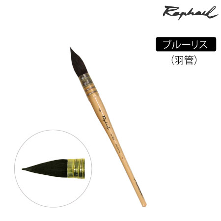 803　丸筆　リス　羽管　丸・羽管　11号　ブルーリス　丸・羽管