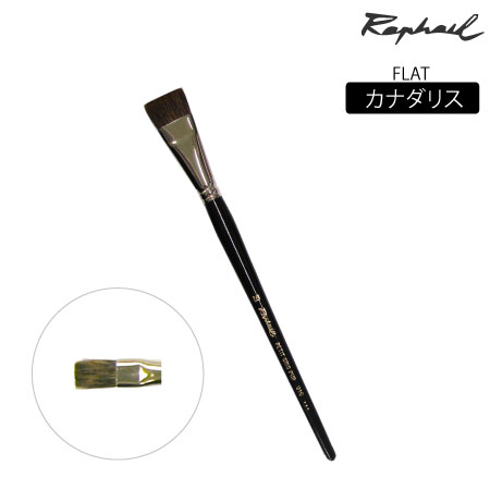 916　筆　リス　平　6号　カナダリス　平