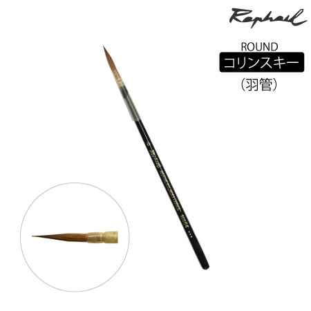 16684 丸筆 フランス面相 5号 コリンスキー フランス面相 | 画筆
