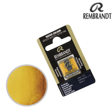 T0586238-1　固定水彩絵具　ガンボージ　　　