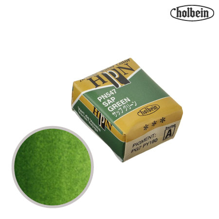 PN547　パンカラー　サップグリーン　　　