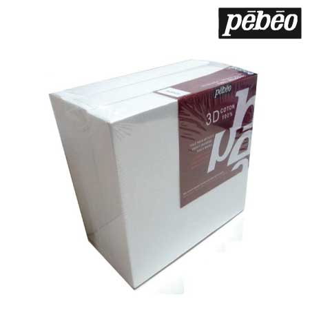 10427コットン３Ｄキャンバス１０ｘ１０ｘ３個