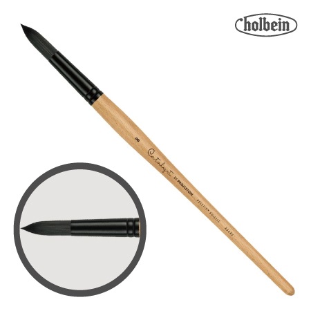 カタリストポリティップブラシ6400R-8