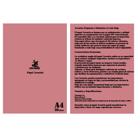 QA-113　アルコイリス　Ａ４　90kg　Salmon