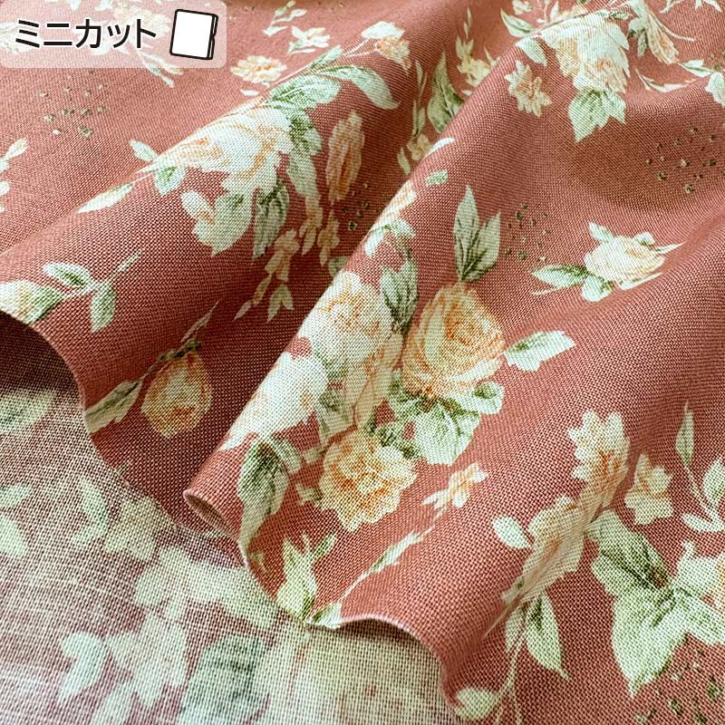 ★2025-05-A04 ミニカット