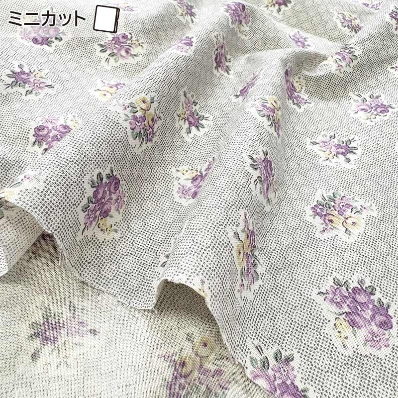 ★2025-05-A09 ミニカット