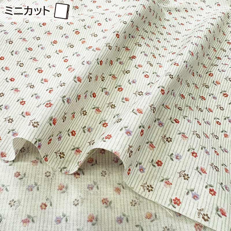 ★2025-05-A11 ミニカット