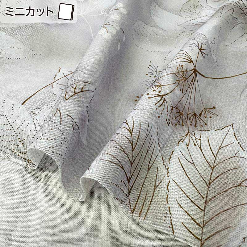 ★2025-05-A13 ミニカット