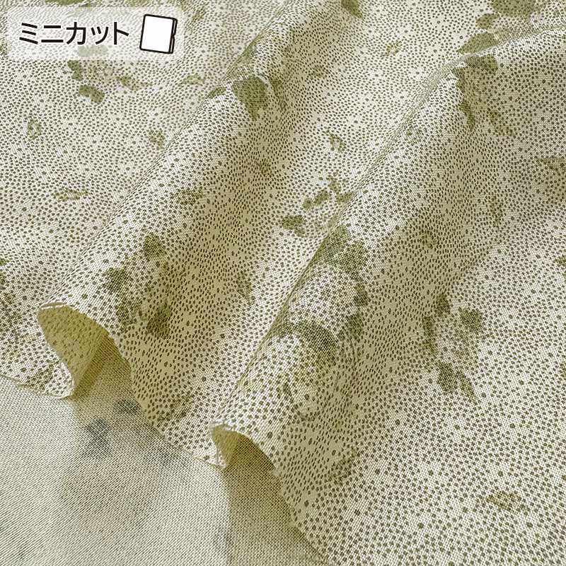 ★2025-06-A05 ミニカット