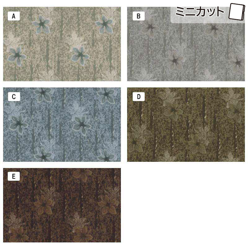 センテナリー31 [10684] ミニカット