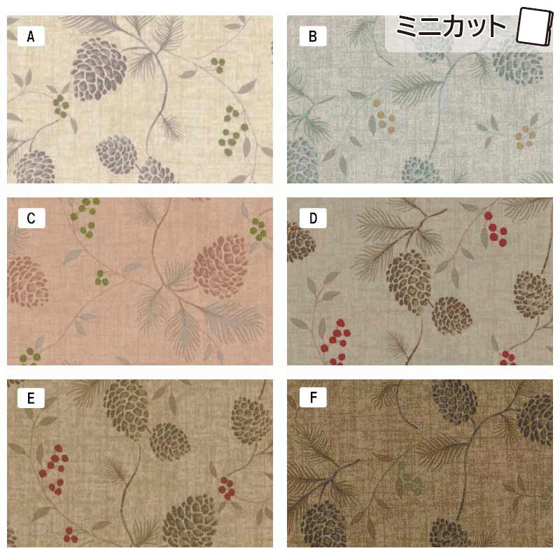 センテナリー31 [10686] ミニカット