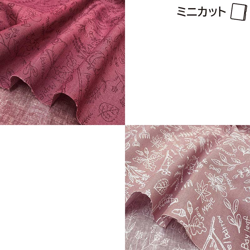 web2507-A09　ミニカット