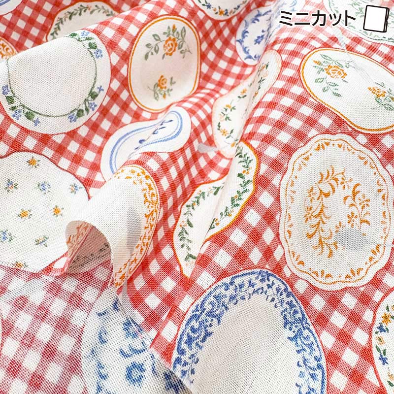 2025-07-A01 ミニカット