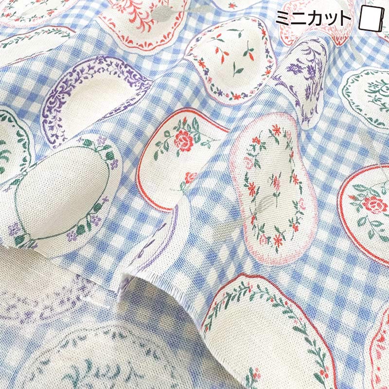 2025-07-A02 ミニカット