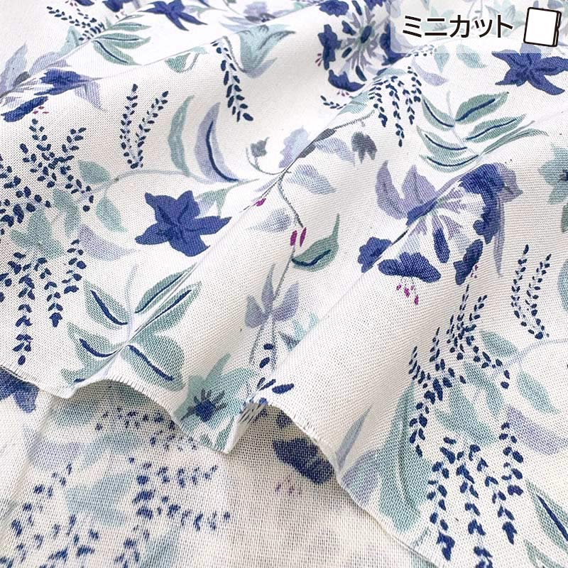 2025-07-A04 ミニカット