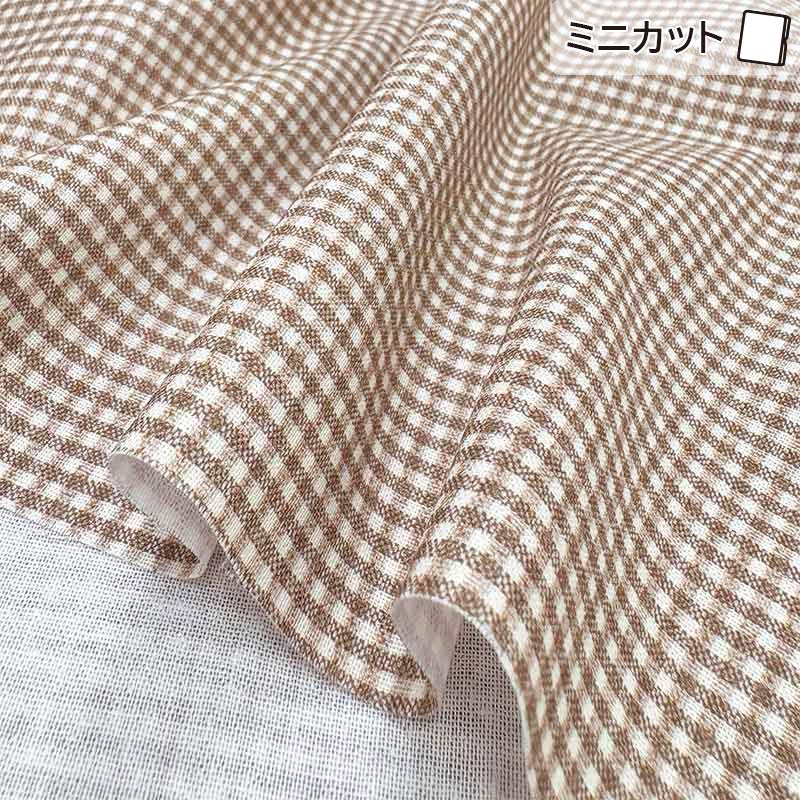 2025-07-A08 ミニカット