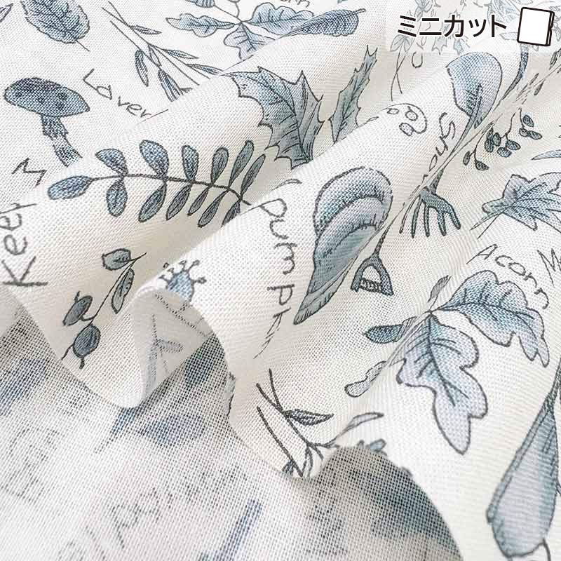 2025-07-A09 ミニカット