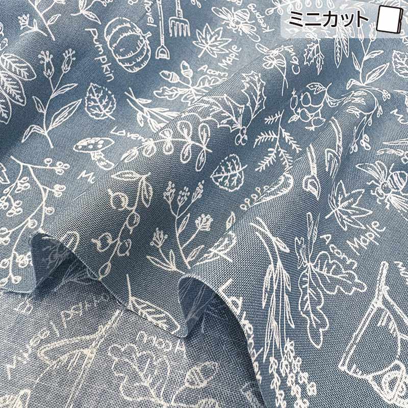 2025-07-A10 ミニカット