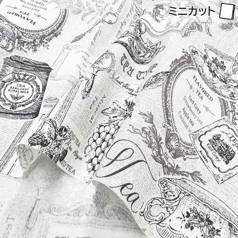 2025-07-A11 ミニカット